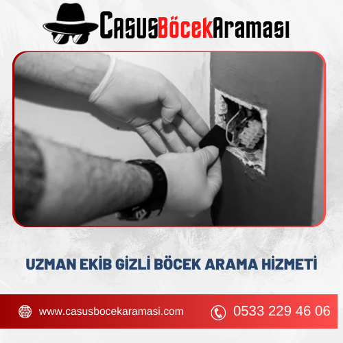 Uzman Ekib Gizli Böcek Arama Hizmeti