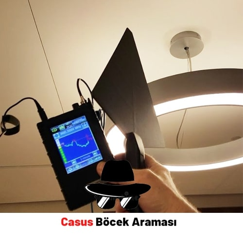 Evinizde Casus Böcek Taraması