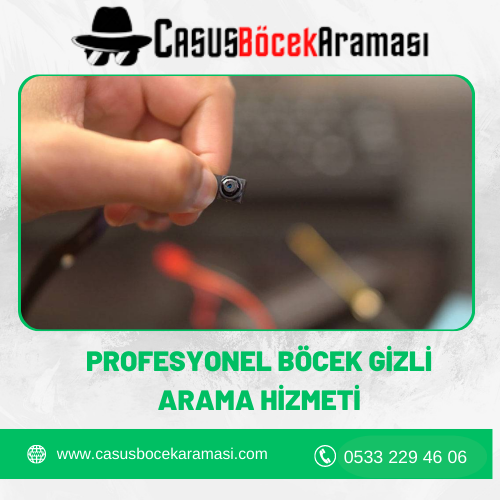 Profesyonel Böcek Gizli Arama Hizmeti