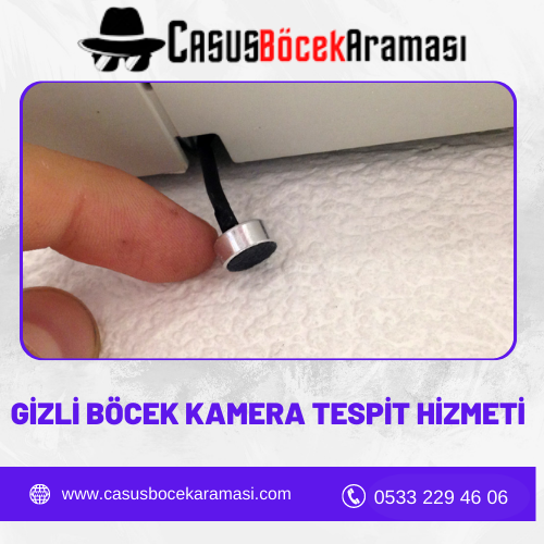 Gizli Böcek Kamera Tespit Hizmeti