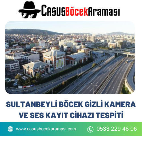 Sultanbeyli Böcek Gizli Kamera ve Ses Kayıt Cihazı Tespiti