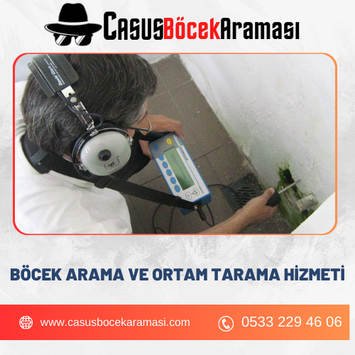 Böcek Arama ve Ortam Tarama Hizmeti